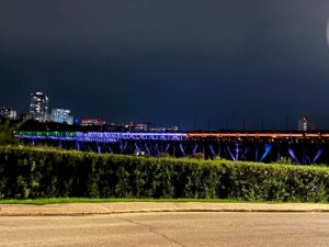 Edmonton célèbre le Niger : 60 000 LED pour la Fête de l’arbreSCIENCES ET ARTS