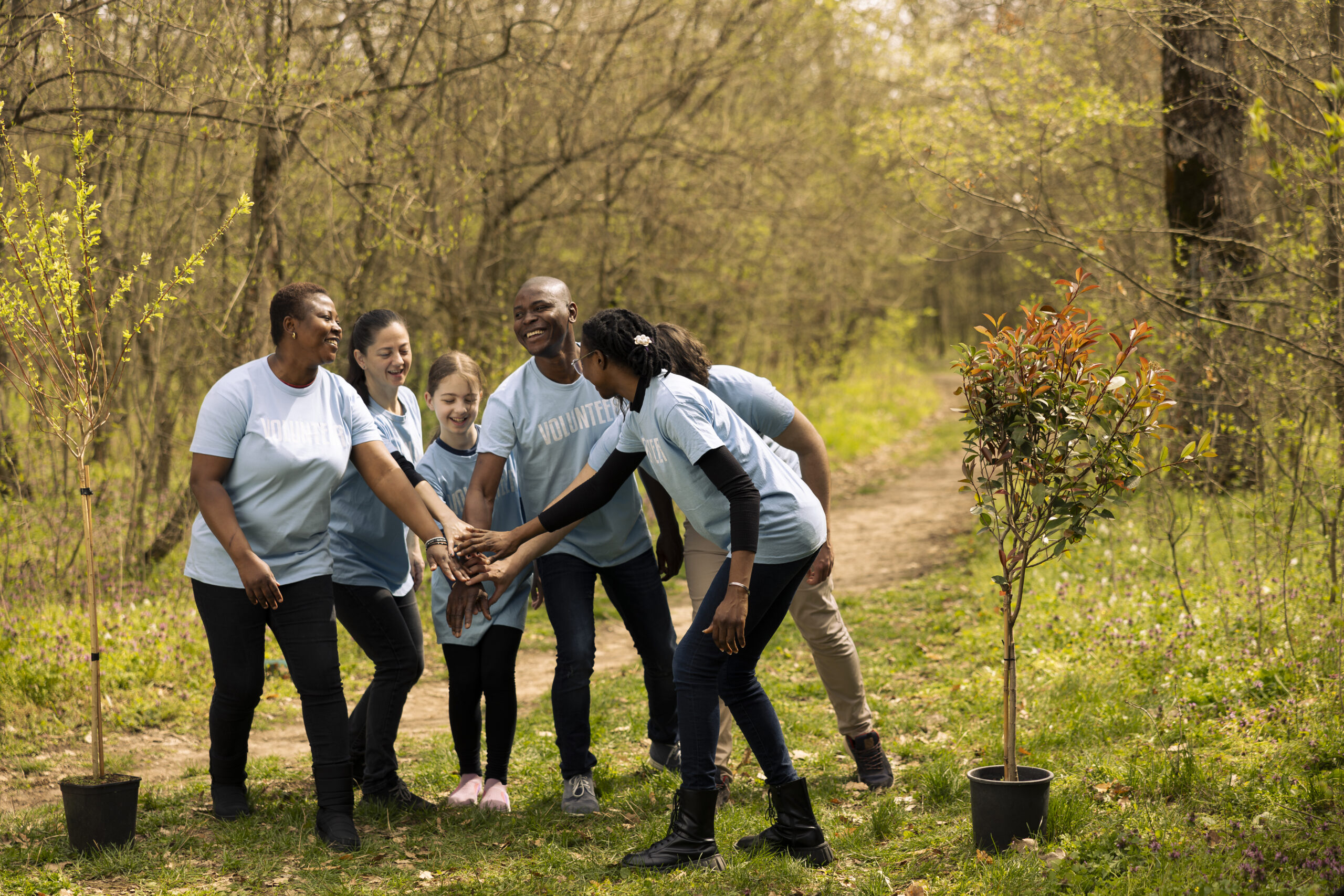 pleased energetic group of conservationists team up to help preserve ecosystems